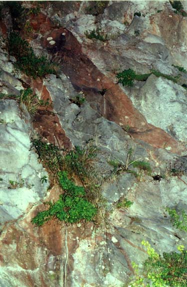 Breakwater Quarry